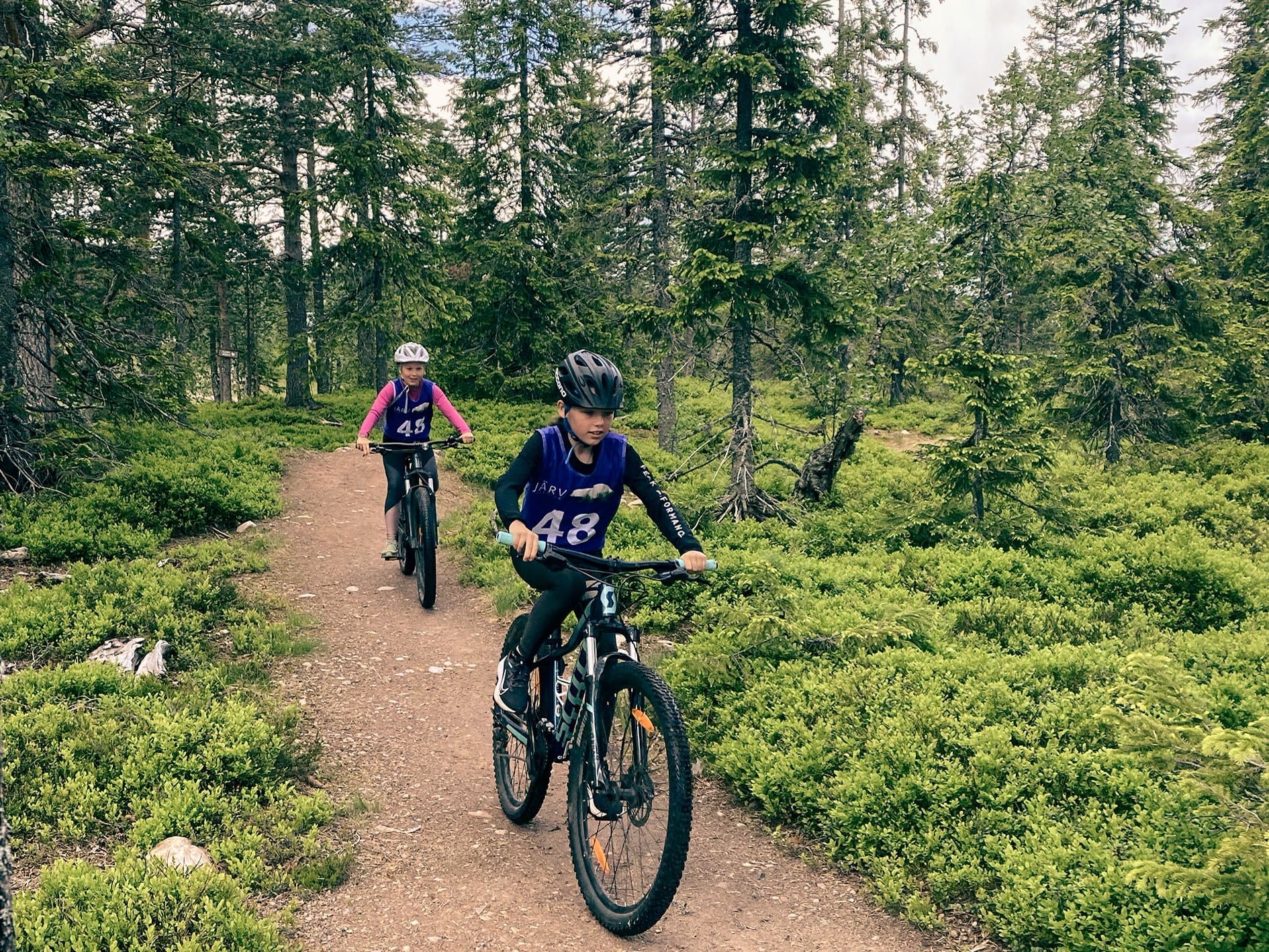 Två barn cyklar mountainbike på en stig genom granskogen